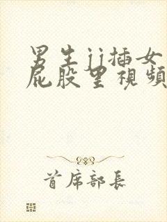 男生jj插女生屁股里视频