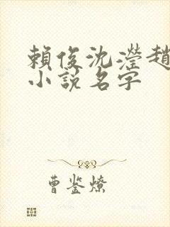 赖俊沈滢赵建新小说名字