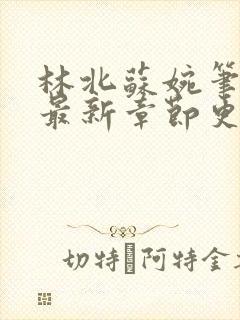 林北苏婉笔趣阁最新章节更新内容