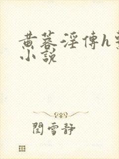 黄蓉淫传h系列小说