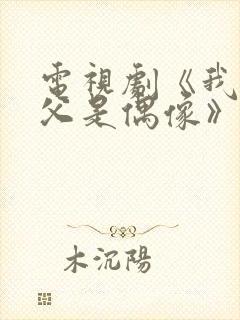 电视剧《我的继父是偶像》