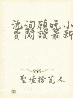 沈洵顾晚小说免费阅读最新章节