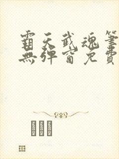 霸天武魂笔趣阁无弹窗免费阅读