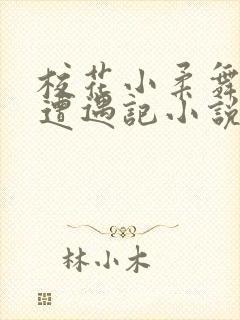 校花小柔舞蹈室遭遇记小说