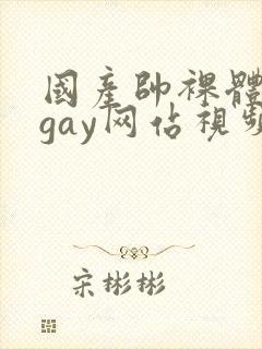 国产帅裸体男模gay网站视频