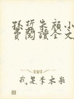 孙哲朱颜小说免费阅读全文最新章节