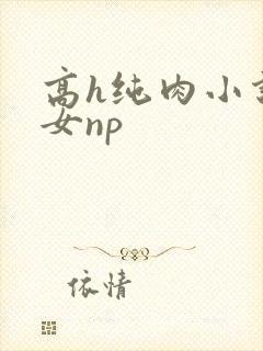 高h纯肉小说男女np