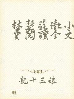 林楚苏彻小说免费阅读全文最新章节