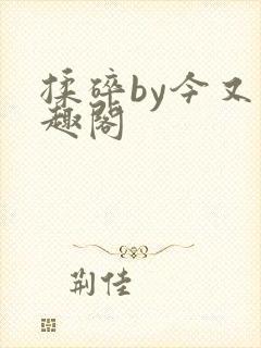 揉碎by今又笔趣阁