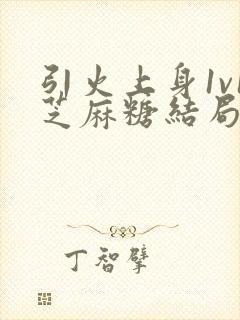 引火上身1v1芝麻糖结局封面