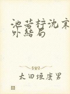 池若柠沈寒声番外结局