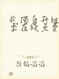 我独自升级第二季在线免费观看樱花动漫封面