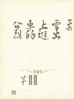 公车上雪柔被猛烈的进出