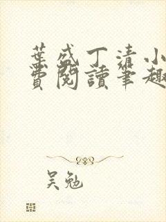 叶盛丁清小说免费阅读笔趣阁