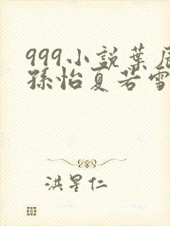 999小说叶辰孙怡夏若雪