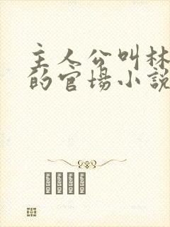 主人公叫林飞扬的官场小说字