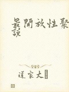 最开放性聚会小说