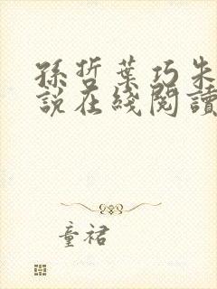 孙哲叶巧朱颜小说在线阅读