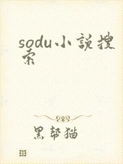 sodu小说搜索