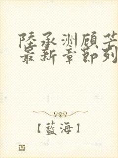 陆承洲顾芒小说最新章节列表封面