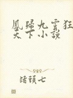 凤归九霄狂妃逆天下小说封面