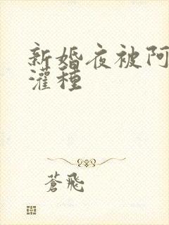 新婚夜被阿龟强灌种封面
