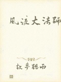 风流大法师封面