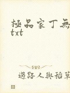 极品家丁无删减txt