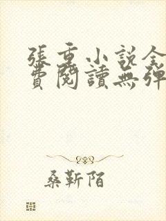 张重小说全文免费阅读无弹窗