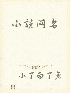 小说网名