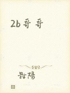 2b哥哥