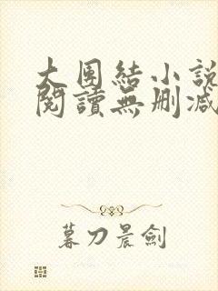 大团结小说在线阅读无删减