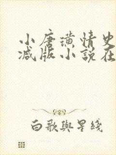 小唐璜情史无删减版小说在线阅读封面