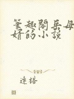 笔趣阁岳母和女婿的小说