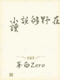 小说够野在线阅读