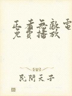 正者无敌电视剧免费播放封面