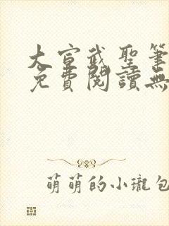 大宣武圣笔趣阁免费阅读无弹窗