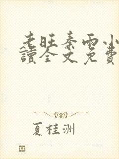 老旺秦雨小说阅读全文免费封面