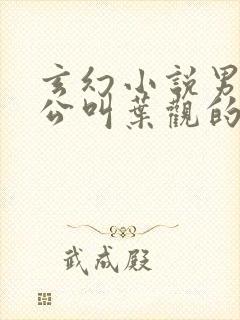 玄幻小说男主人公叫叶观的小说