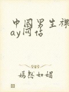 中国男生裸体gay网站