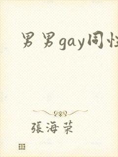男男gay同性