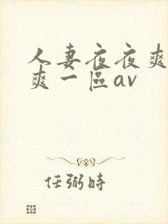 人妻夜夜爽天天爽一区av
