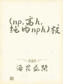 (np,高h,纯肉nph)校园