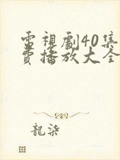 电视剧40集免费播放大全