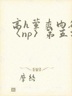 高h荤爽肉欲文〈np〉第五次