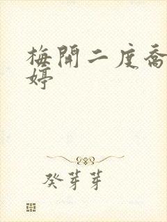 梅开二度乔枫李婷封面
