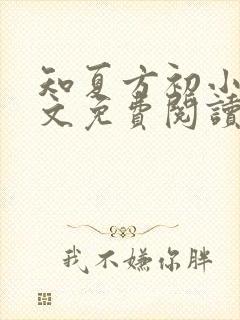 知夏方初小说全文免费阅读最新章节