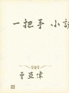 一把手 小说