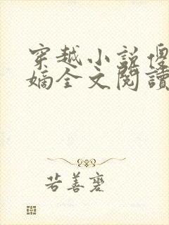 穿越小说傻王夺嫡全文阅读