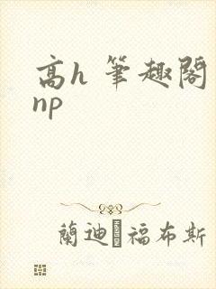 高h 笔趣阁 np